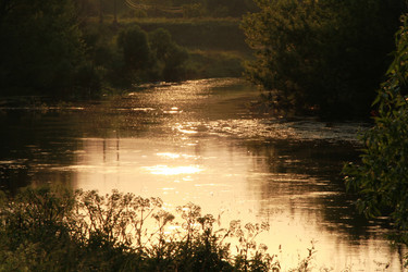 Similar image 186969