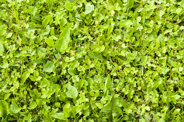 Similar image 186971