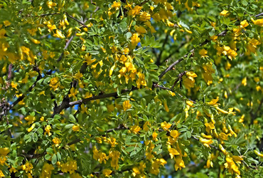 Similar image 186976