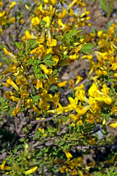 Similar image 186980