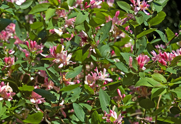 Similar image 186986