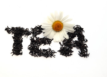 Similar image 187045