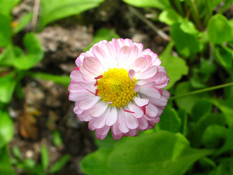 Similar image 187049