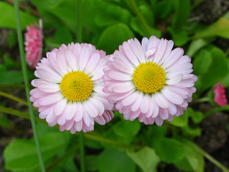 Similar image 187050