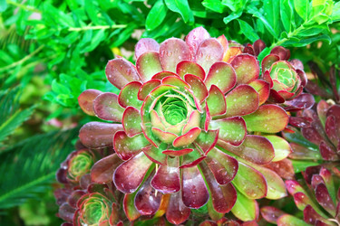 Similar image 187053