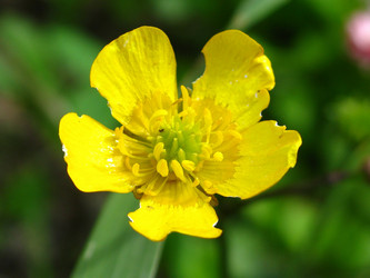 Similar image 187056