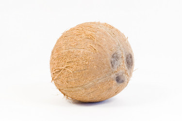 Similar image 187075