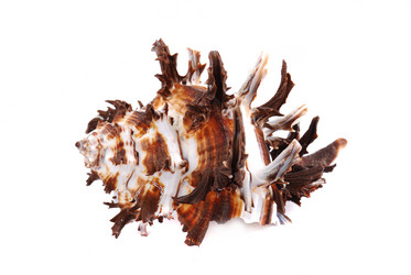 Similar image 187101