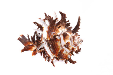 Similar image 187102