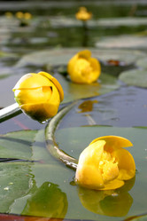 Similar image 187109