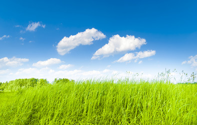 Similar image 187110