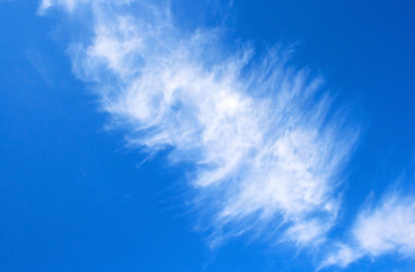 Similar image 187161