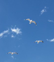 Similar image 187163