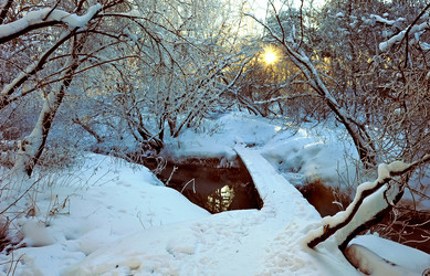 Similar image 187199