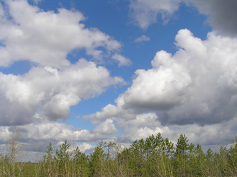 Similar image 187216