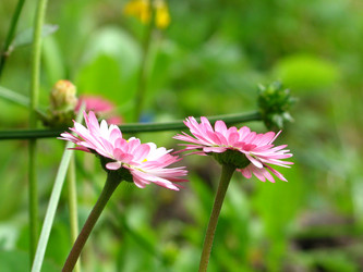 Similar image 187219