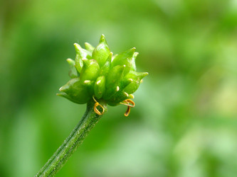 Similar image 187220