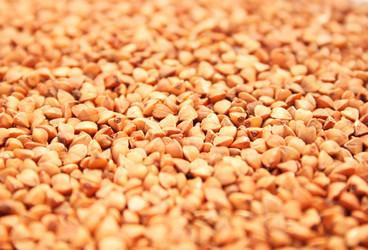 Similar image 187239