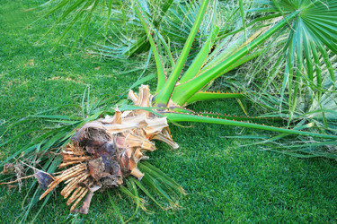 Similar image 187240