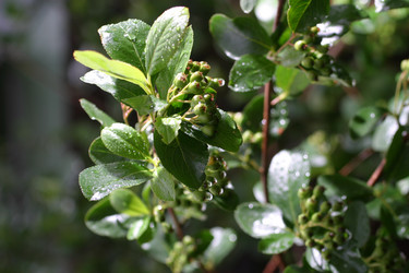 Similar image 187247