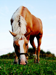 Similar image 187248