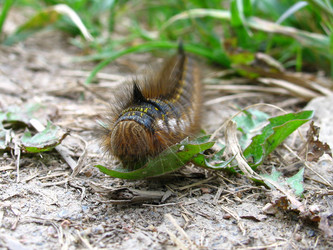 Similar image 187249