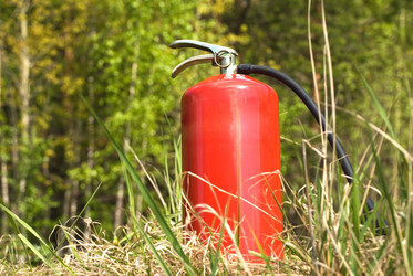 Similar image 187302