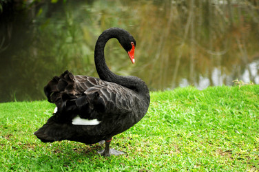 Similar image 187312