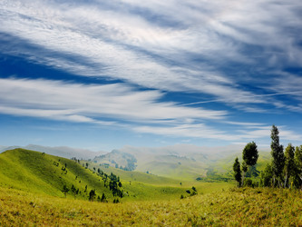 Similar image 187313