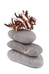 Similar image 187323