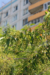 Similar image 187326