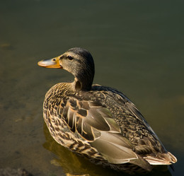 Similar image 187328