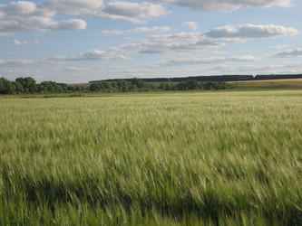 Similar image 187331