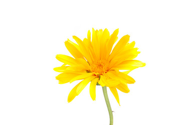 Similar image 187338