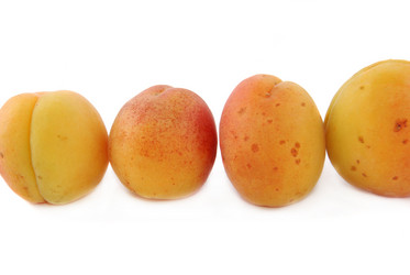 Similar image 187356