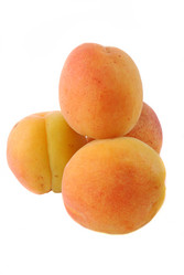 Similar image 187357