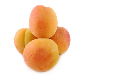 Similar image 187358