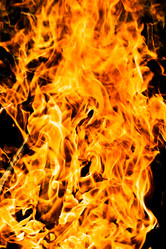 Similar image 187381