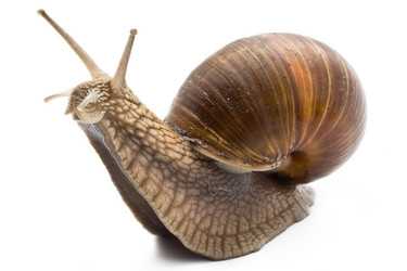 Similar image 187383