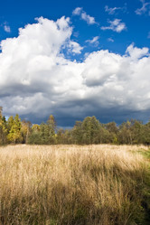 Similar image 187384