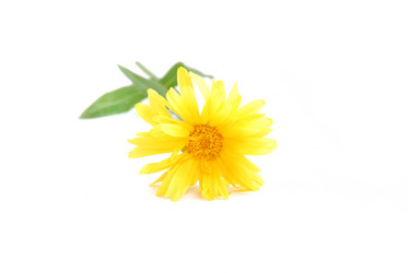 Similar image 187457