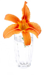 Similar image 187458