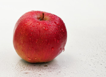 Similar image 187485