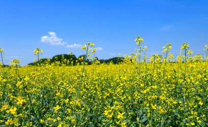 Similar image 187491