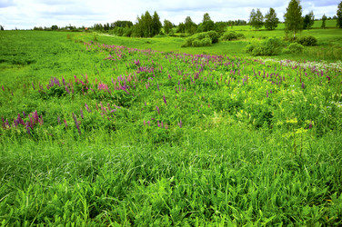 Similar image 187531