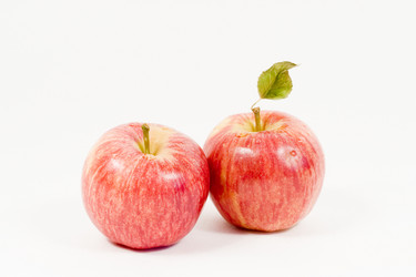 Similar image 187607