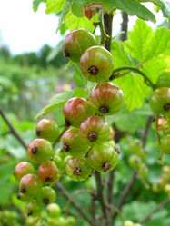 Similar image 187618