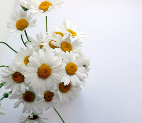 Similar image 187620