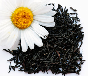 Similar image 187622