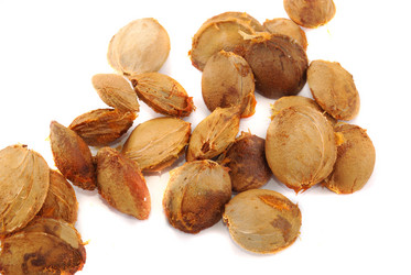 Similar image 187645